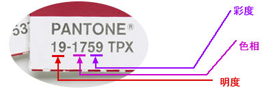 TPX编码解说